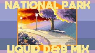 'National Park' (Liquid Drum & Bass Remix) from Pokémon Gold & Silver / Emdasche