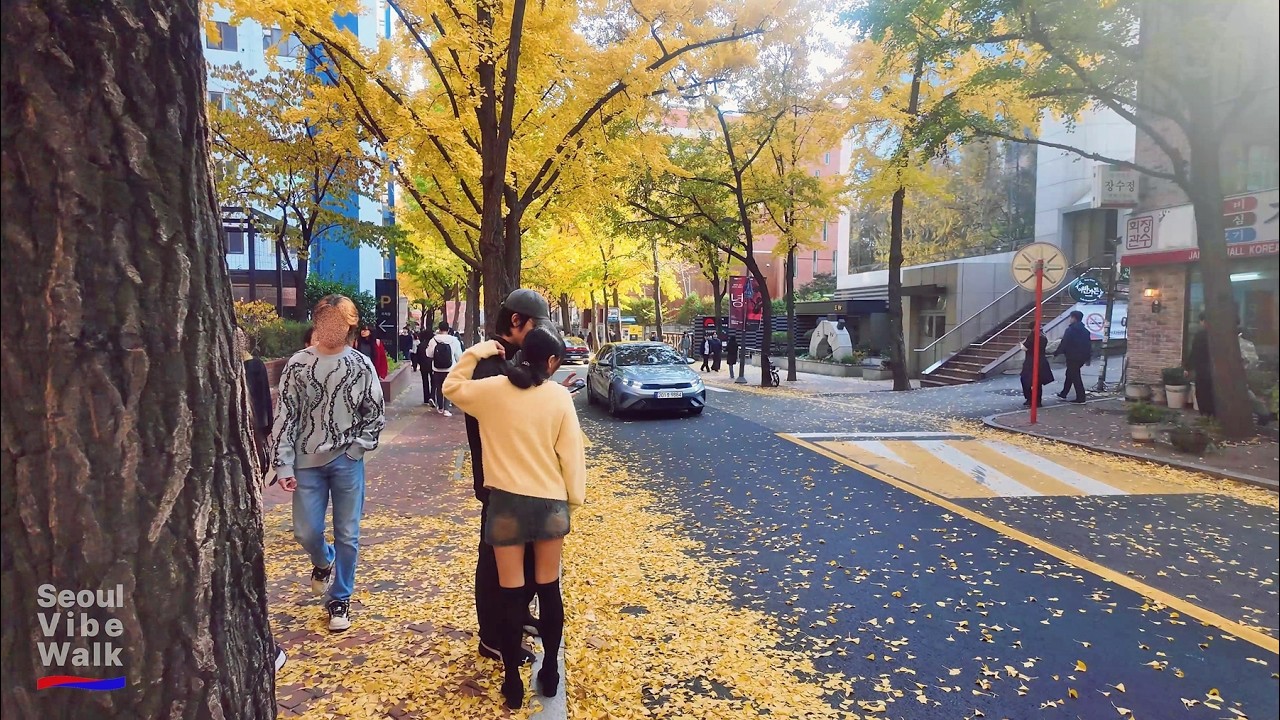 Seoul’s Last Autumn Colors🍂 | Walking Through Cheonggyecheon, Namsan, City Hall & Myeongdong(4K HDR)
