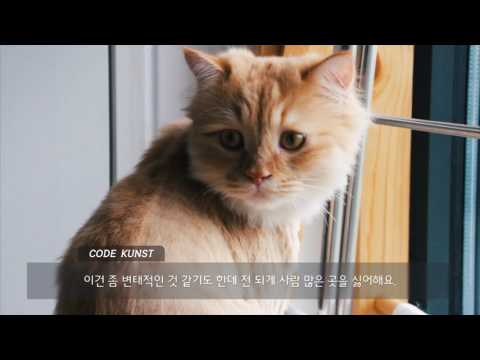 160115 code kunst teaser making