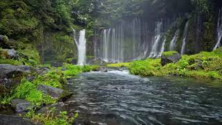 Deep Focus Music - Concentration Music for Studying, ADHD Music, Super Intelligence