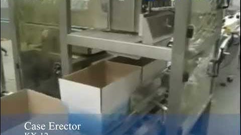 Drop type case packer