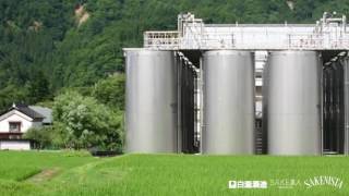 SAKENISTA×白瀧酒造