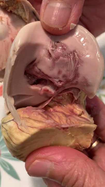 Where is the Dreaded Balut Duck Embryo? - Duck Egg #shorts
