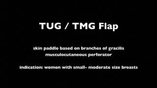 TUG 1 Introduction Tug Flap