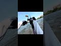釣った魚を食べよう!