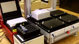 Gene Assembly - Lab Automation
