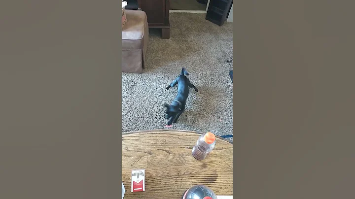 the cowboy roll