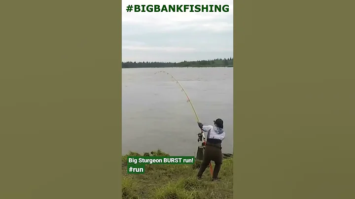 Big BURST Sturgeon Run