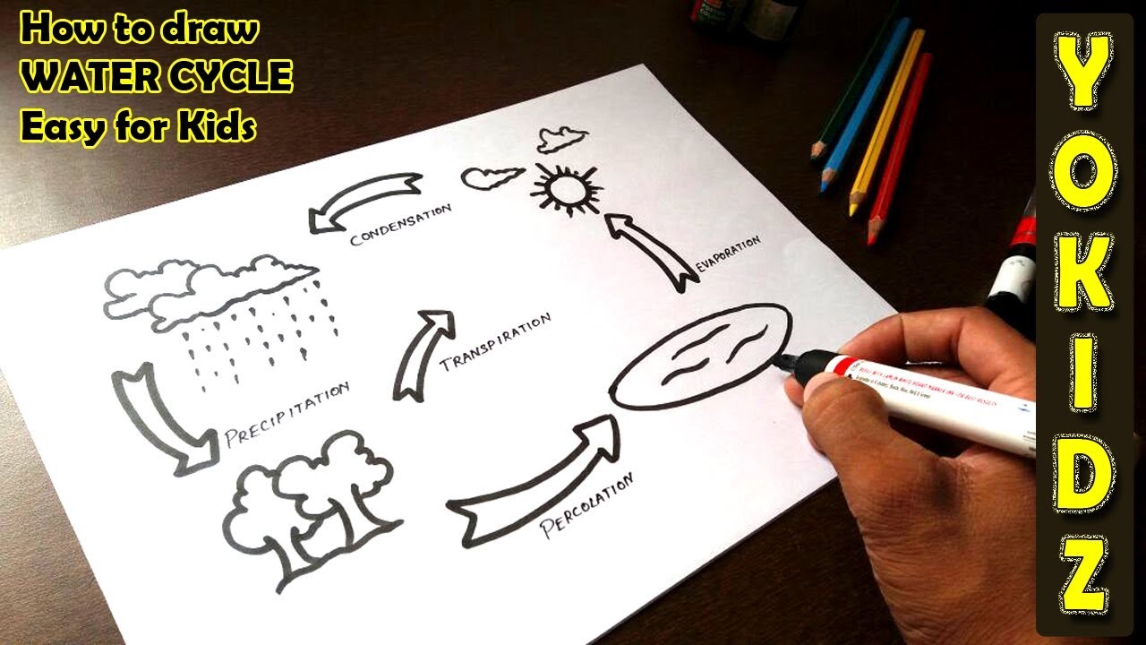 Flow Chart On Water Cycle