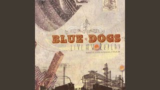 Watch Blue Dogs Bill Bill video