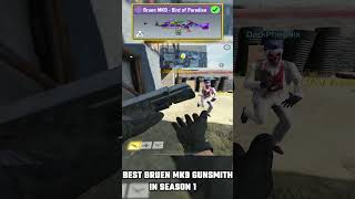 BEST BRUEN MK9 GUNSMITH IN SEASON 1