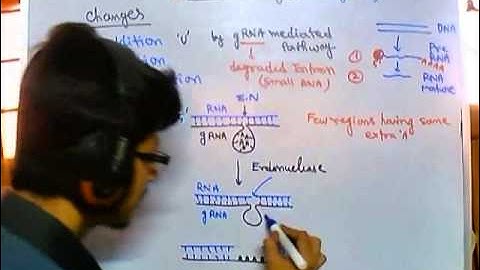 Guide RNA dependent RNA editing