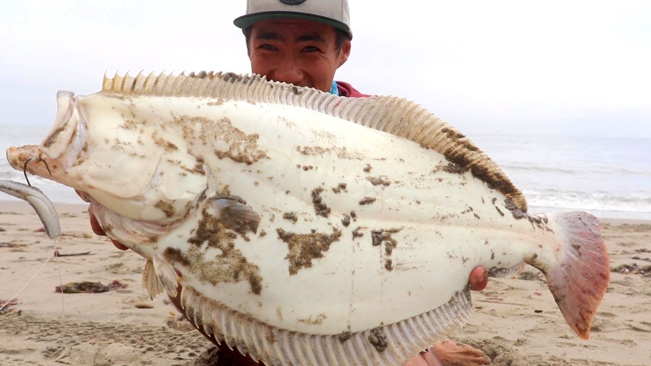 NEW LURE for SURF FISHING on the California Coast (Success!) 