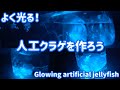 光る人工クラゲを作ろう（Let's make a glowing artificial jellyfish）