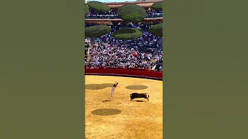 Matador Jump Very High Under The Levitating Mossy Stones 