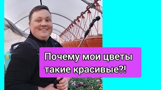 Гремучая смесь для обработки растений!