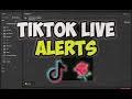 Maratona estendibile su Tiktok!, chatbot, alert. TUTORIAL (ita)