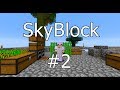 SkyBlock #2 | Ферма мобов и огород [ProstoCraft]