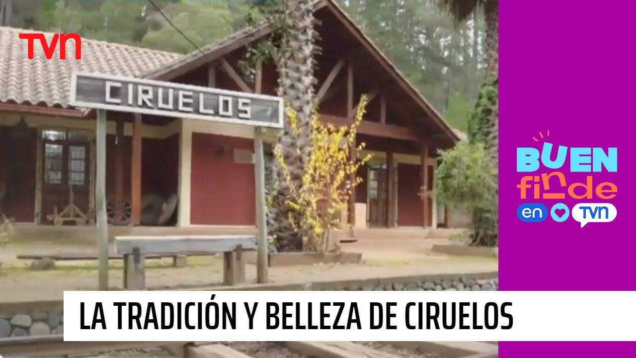 Gino Costa presenta la tradición y la belleza de Ciruelos en la región de O'higgins