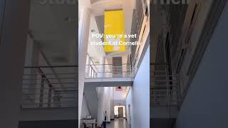 POV you re a vet student at Cornell