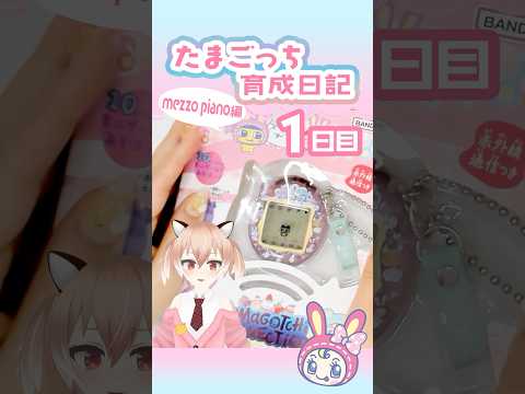 【#たまごっち】メゾピアノたまごっちコネクション入手しました！！！ #tamagotchi #メゾピアノ #Vtuber #shorts