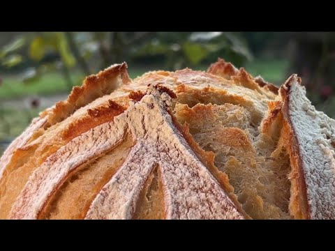 Gourmand - Votre pain maison