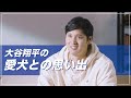nishikawa［エアー］大谷翔平の愛犬との思い出