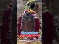 💐🍀🛕📿 निर्विकल्पं #devotionalsong #omnamahshivaybhajan #religioussong #shivbhajansonotek #kedarnath