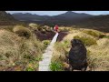 Subantarctic Islands Cruises Banner Video - Heritage Expeditions