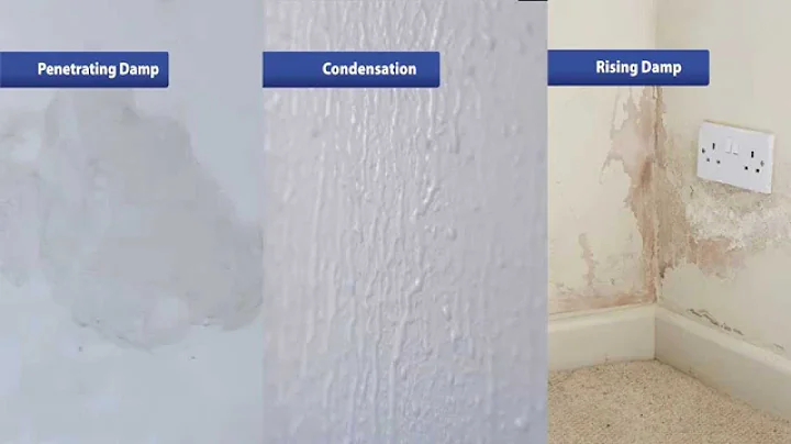 How to Find and Fix Your Damp Problems - DayDayNews