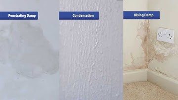 How to Find and Fix Your Damp Problems
