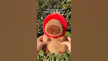 Website: CapyPlush.Store ! Link 🔗 in Bio ‼️Ask your Parents 🥰 #capybara #christmas