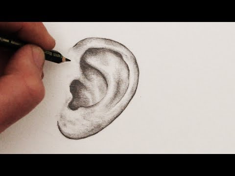 How to Draw Ears: Step by Step