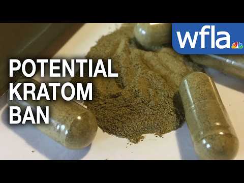 Hillsborough County considers banning Kratom products