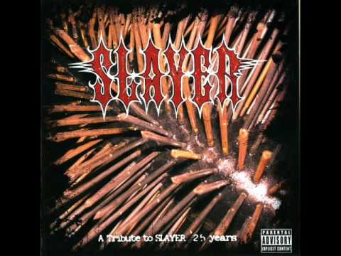 Sanctimony - Expendable Youth (Slayer)