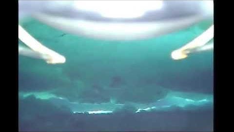 Icefin UUV - Deployment through McMurdo Station