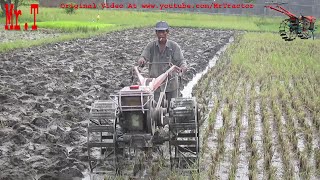 Plowing Mud Using Yanmar Two Wheel Hand Tractor