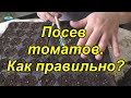 Посев томатов - как получить дружные всходы рассады. Отличный результат!!!