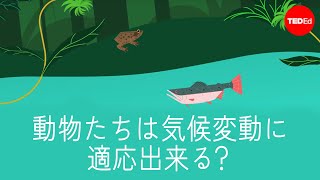 野生生物は気候変動に適応出来る？—エリン・イーストウッド