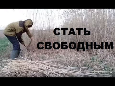 Видео: Как да живеем без приятели