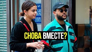 Селена Гомес и The Weeknd снова вместе? Селена Гомес и The Weeknd снова вместе?