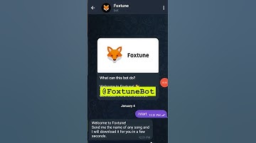 This 🔥🤖 Bots of Telegram Will make your Life Easy