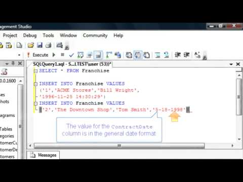 Enter data into a new database table: SQL Training by SQLSteps