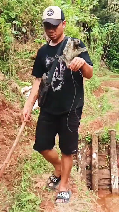 ngurek belutsawah walang kopo nya gk mau lepas#ngurekbelutsawah #walangkopo