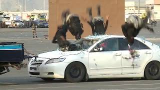 Saudi Police chase terrorists | Confrontation of Saudi Police with militants screenshot 3