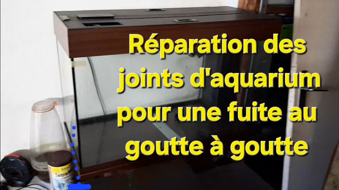 Réparation des joints d'aquarium pour une fuite au goutte à goutte