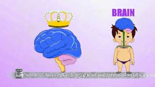 Milk Powder TVC (En-Lac)