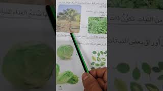 علوم الصف الأول الابتدائي /اجزاء النبات (صفحة ٥٨-٥٩-٦٠)