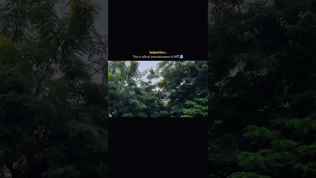 Sardi Begins in Jaipur🌨️! Thandi hawa, pyara mausam aur coffee ka perfect combo ☕ 