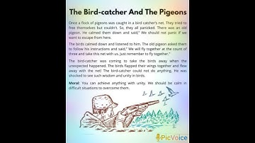 Moral Story :- The Bird-Catcher and The Pigeons